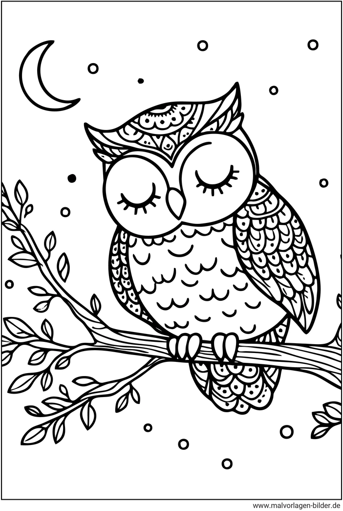 eule-auf-ast-mit-mond-und-sternen