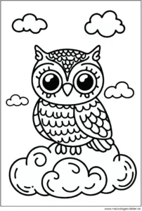 eule-auf-wolke-malvorlage