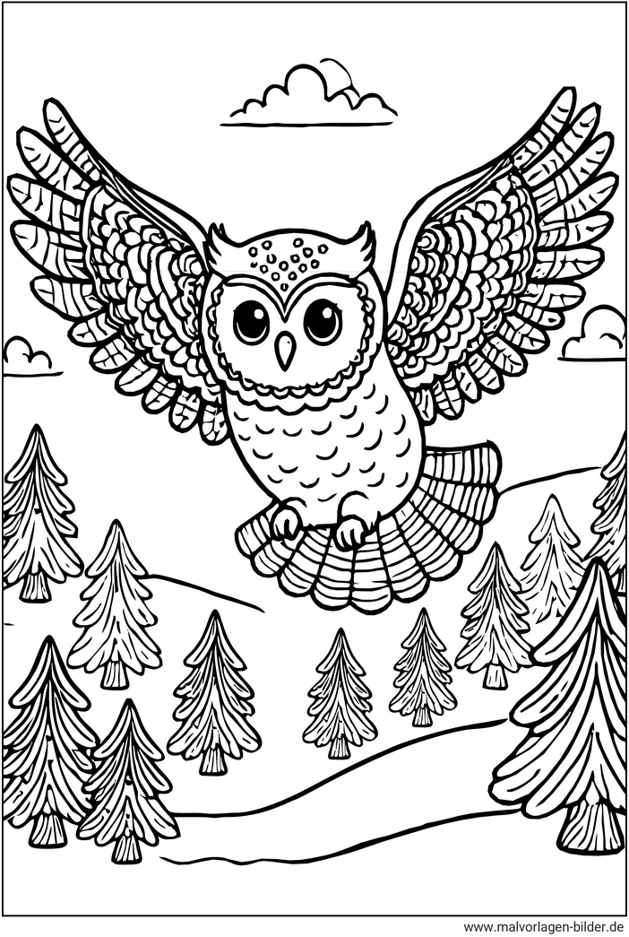 eule-fliegt-ueber-einen-wald-ausmalvorlage