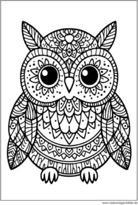 eule-malvorlage-zum-ausmalen-fuer-erwachsene