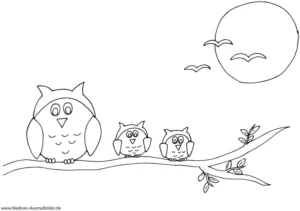 eulen-auf-ast-mit-mond-und-voegeln