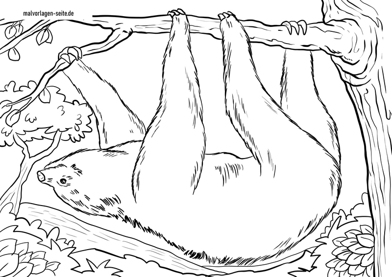 faultier-im-baum-ausmalvorlage