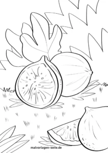 feigen-und-blattwerk-malen-vorlage