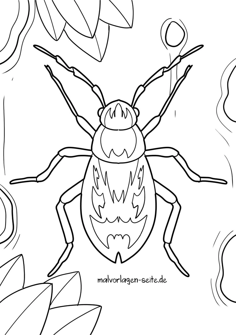 feuerwanze-ausmalvorlage