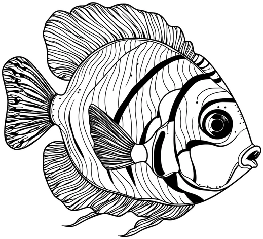 fisch-ausmalvorlage-detaillierte-linien-gestalten