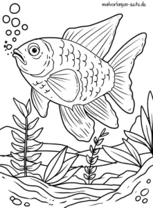 fisch-im-wasser-ausmalvorlage