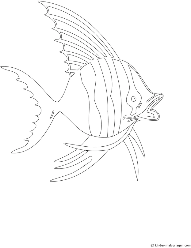 fisch-malen-ausmalvorlage-kreativ