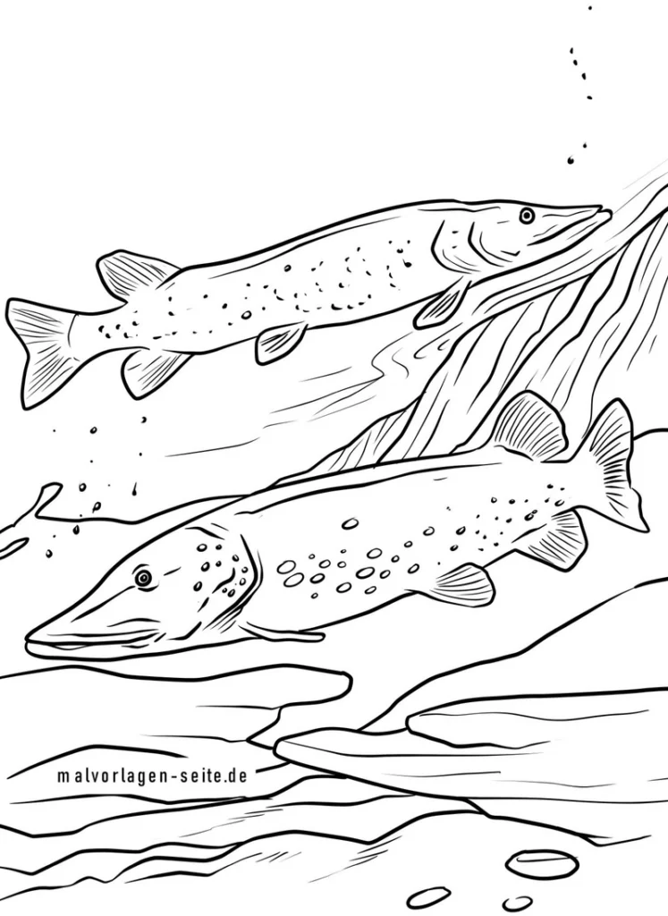 fische-in-der-natur-ausmalvorlage
