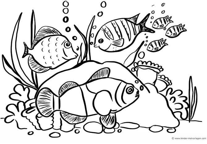 fische-und-korallen-ausmalvorlage