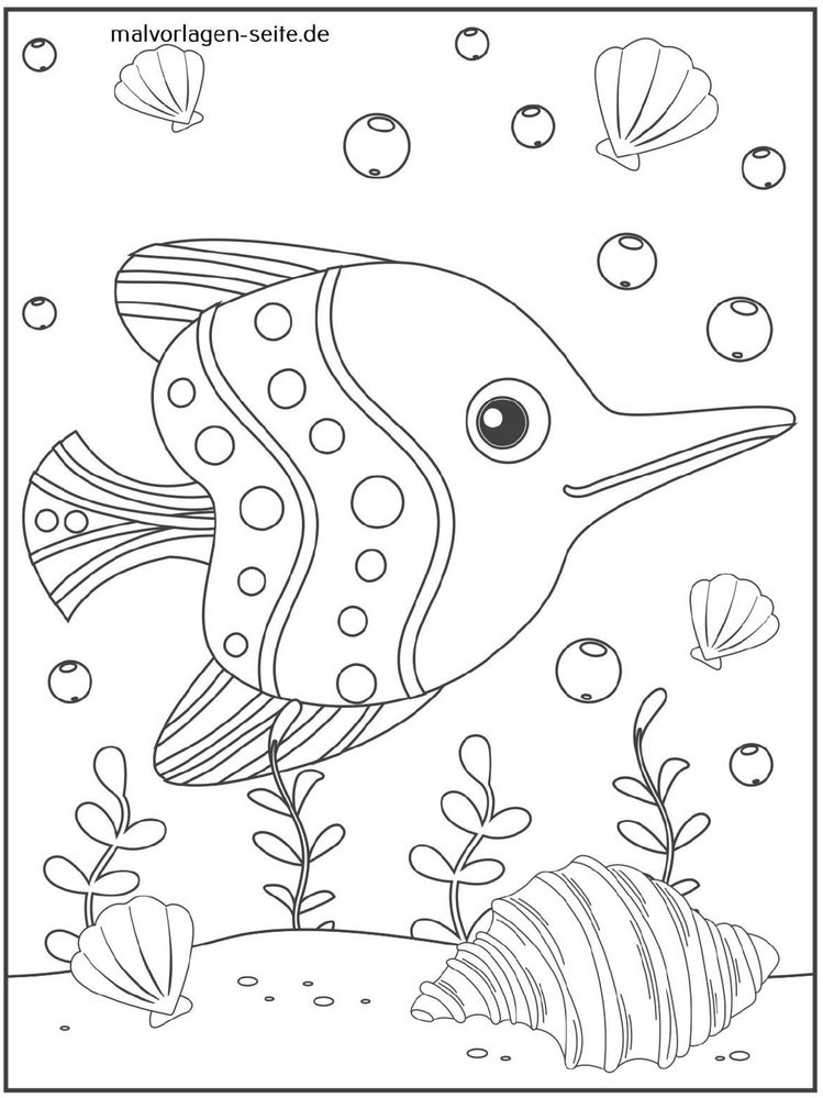fische-und-muscheln-unterwasserwelt