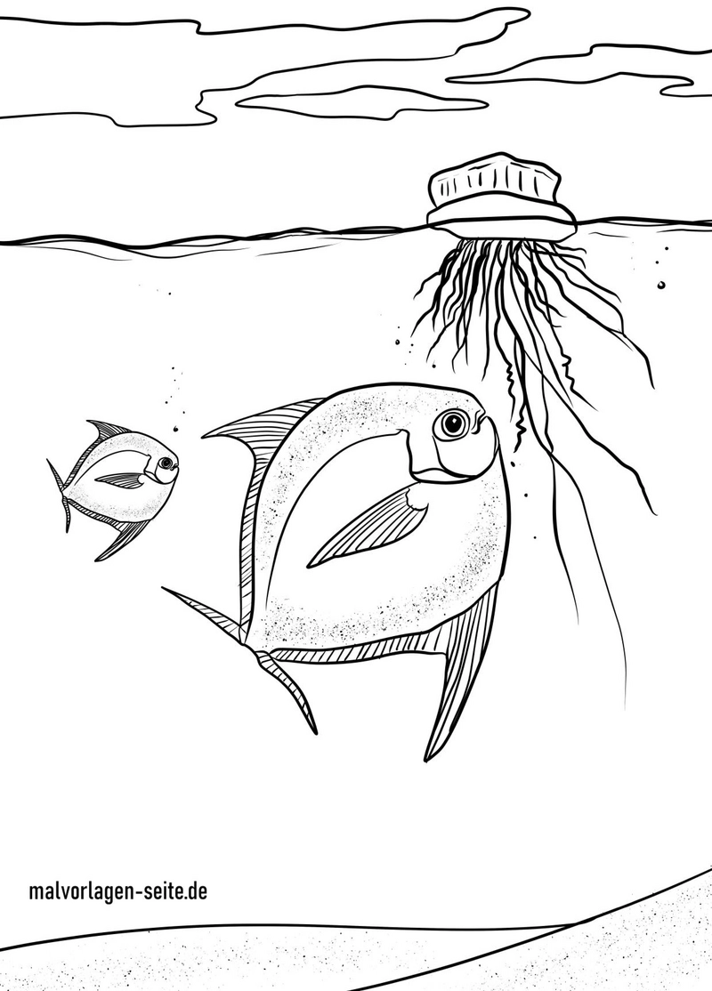 fische-und-quallen-im-wasser