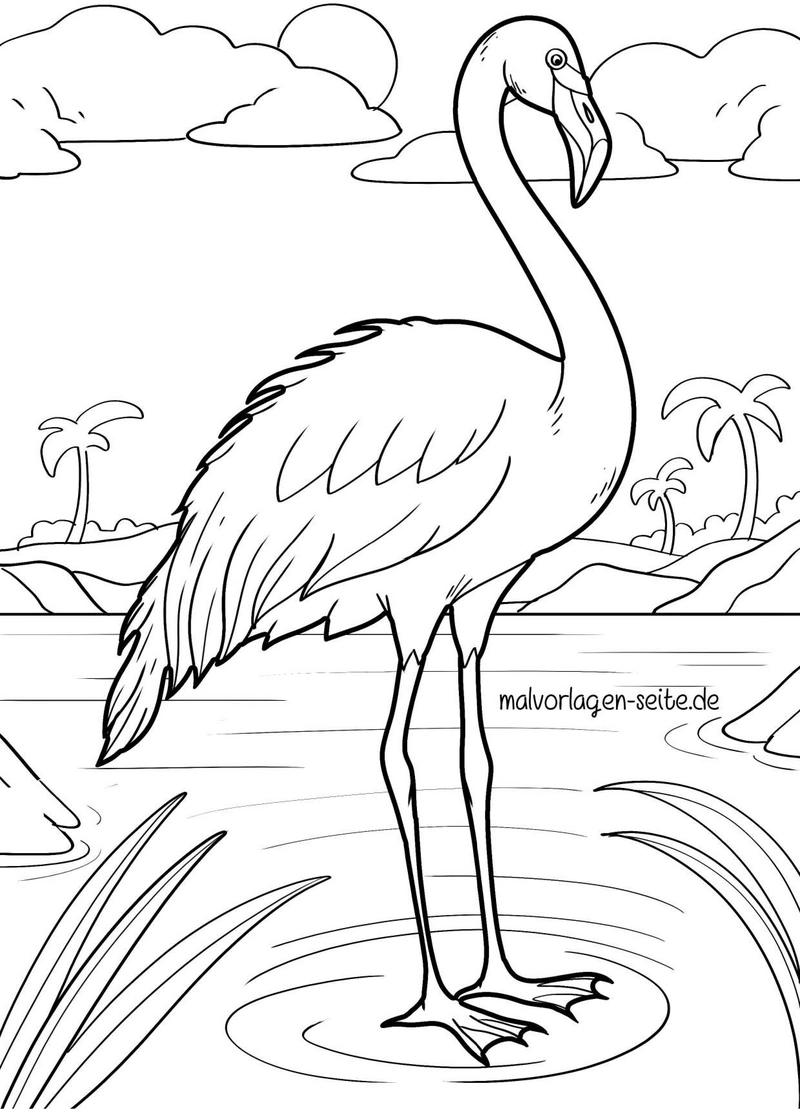 flamingo-am-wasser-mit-palmen