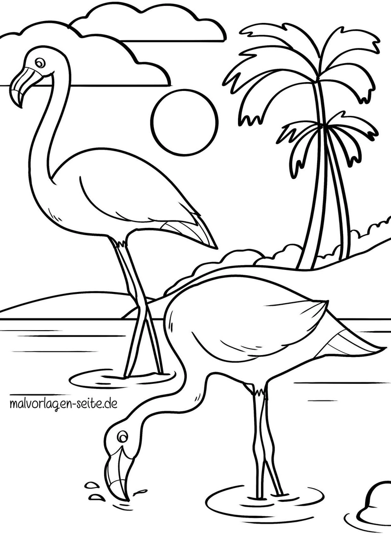 flamingos-in-der-natur-ausmalen