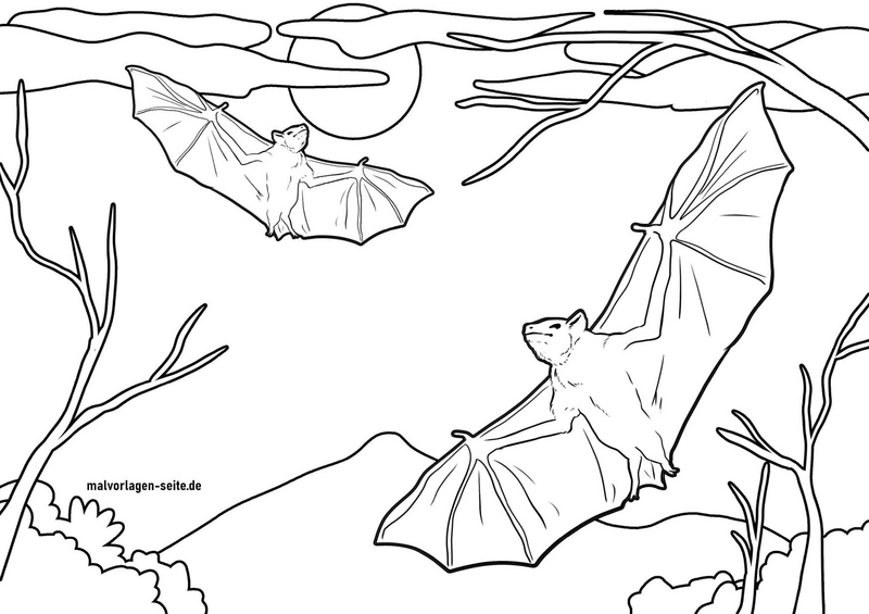 fledermaeuse-im-nachthimmel-malvorlage