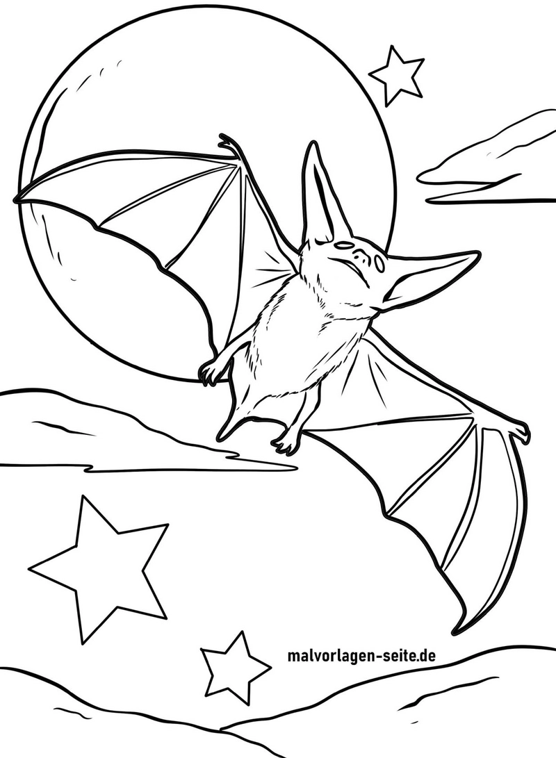fledermaus-im-mond-und-sternen