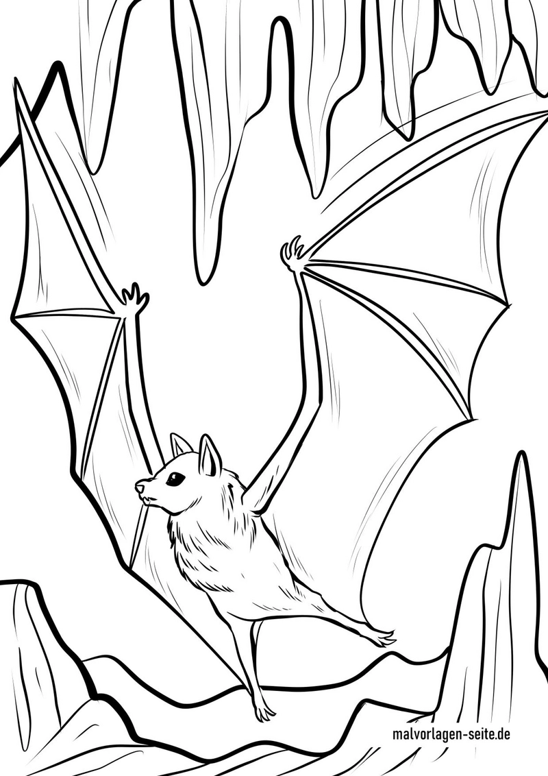 fledermaus-in-hoehle-ausmalvorlage