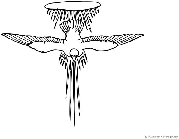 fliegender-vogel-kreative-malvorlage