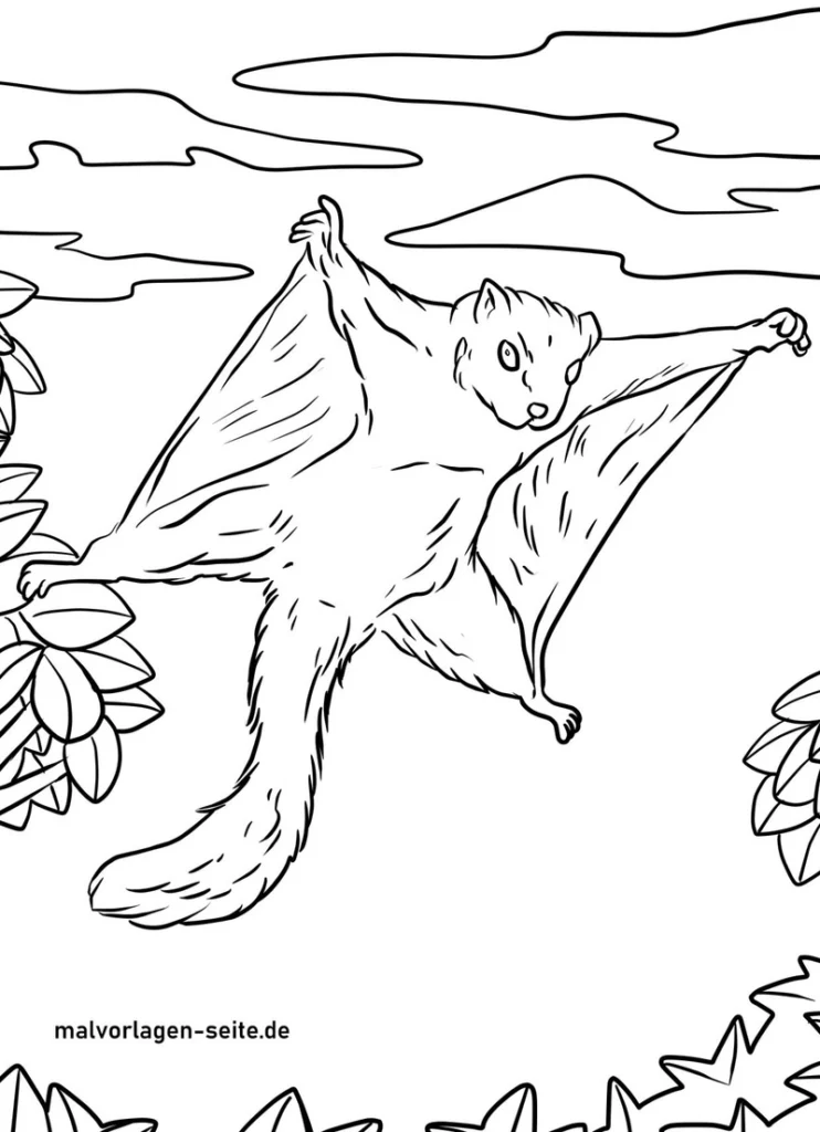 fliegendes-eichhoernchen-malvorlage