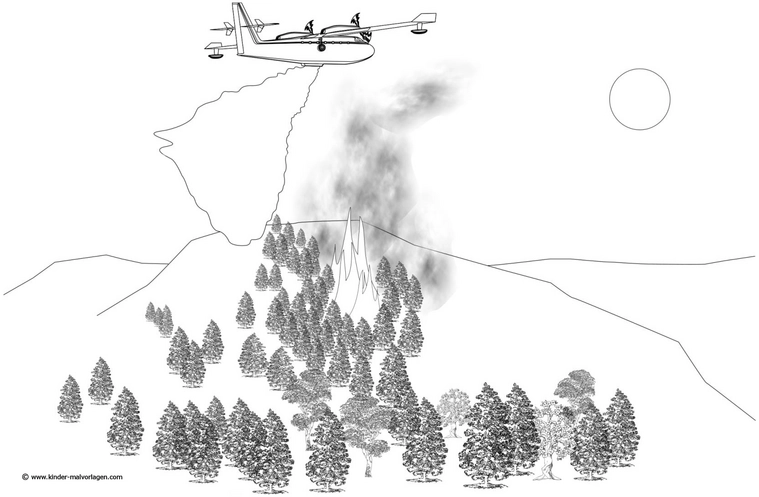 flugzeug-im-wald-mit-feuer-unterwegs