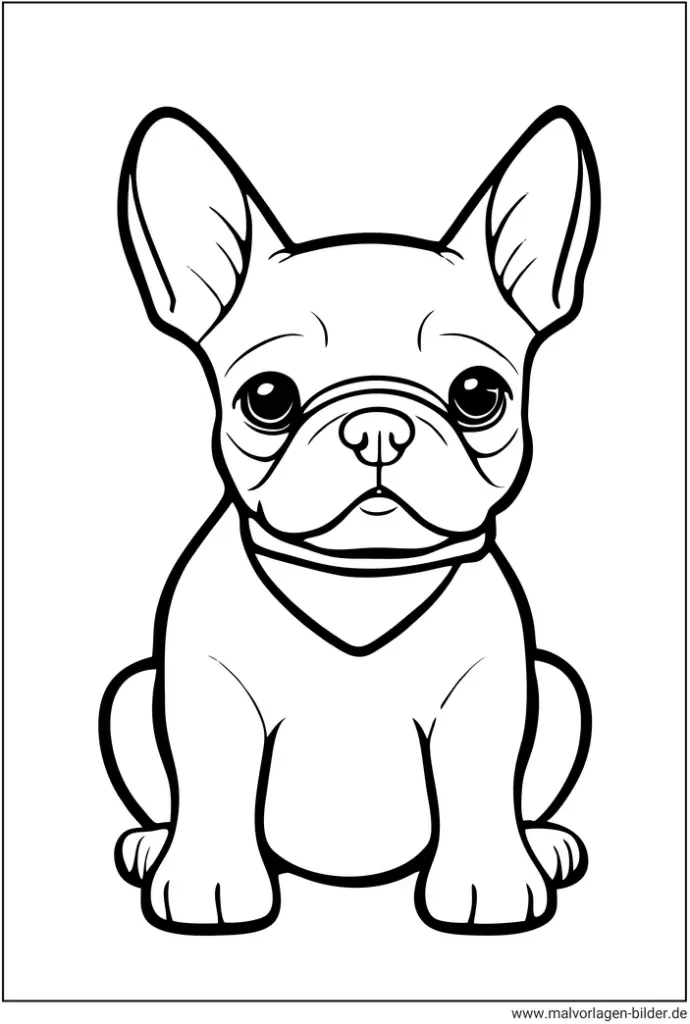 franzoesische-bulldogge-ausmalvorlage