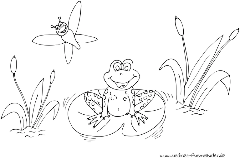 frischer-frosch-auf-seerose-mit-libelle