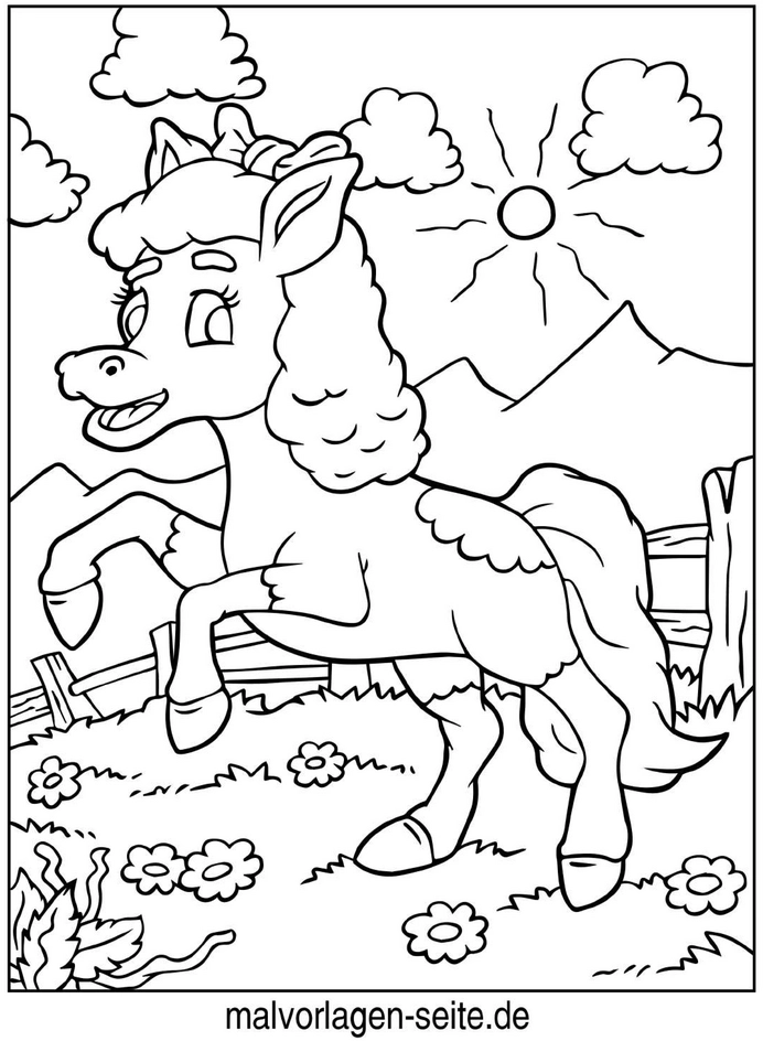 fröhliches-pony-in-natur-ausmalvorlage