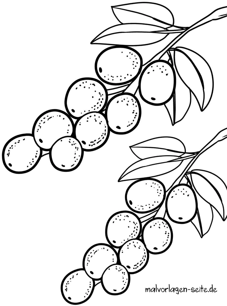 fruechte-ausmalvorlage-fuer-kinder