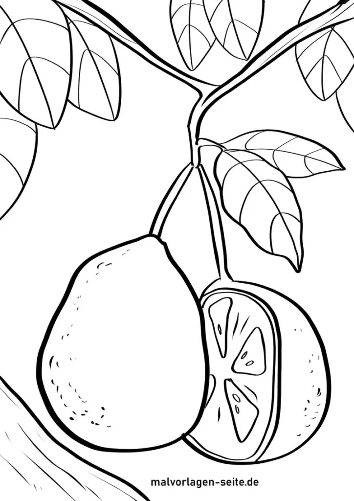 fruechte-und-pflanzen-ausmalvorlage