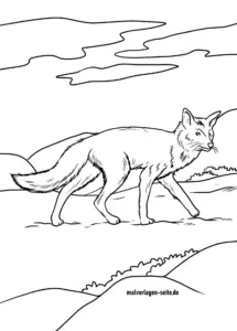 fuchs-in-der-natur-ausmalvorlage
