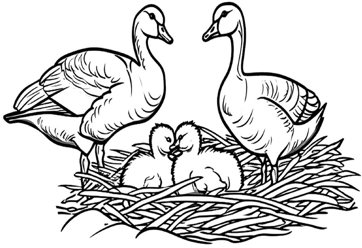gaense-und-kueken-im-nest-malvorlage