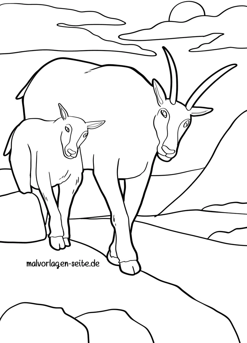 gemse-und-jungtier-in-der-berglandschaft