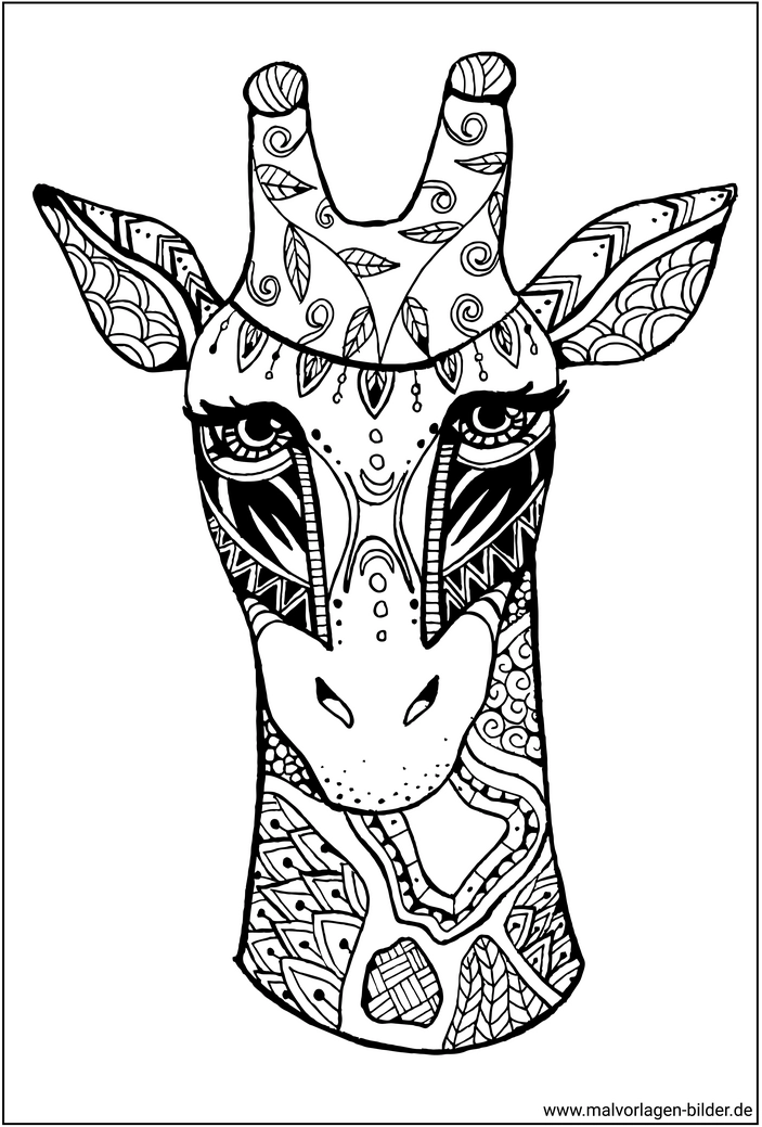 giraffe-ausmalvorlage-fuer-erwachsene