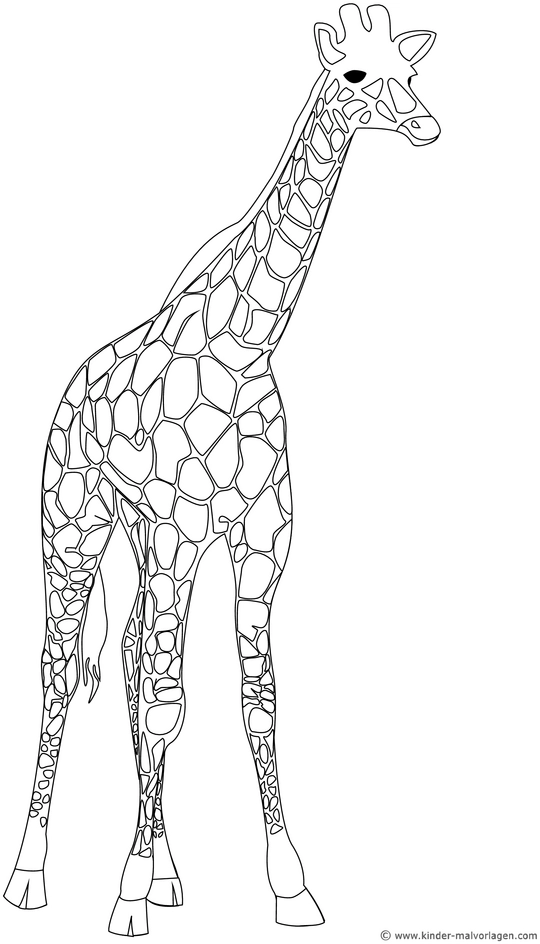 giraffe-ausmalvorlage-gestalten