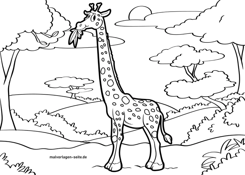 giraffe-in-der-natur-ausmalvorlage