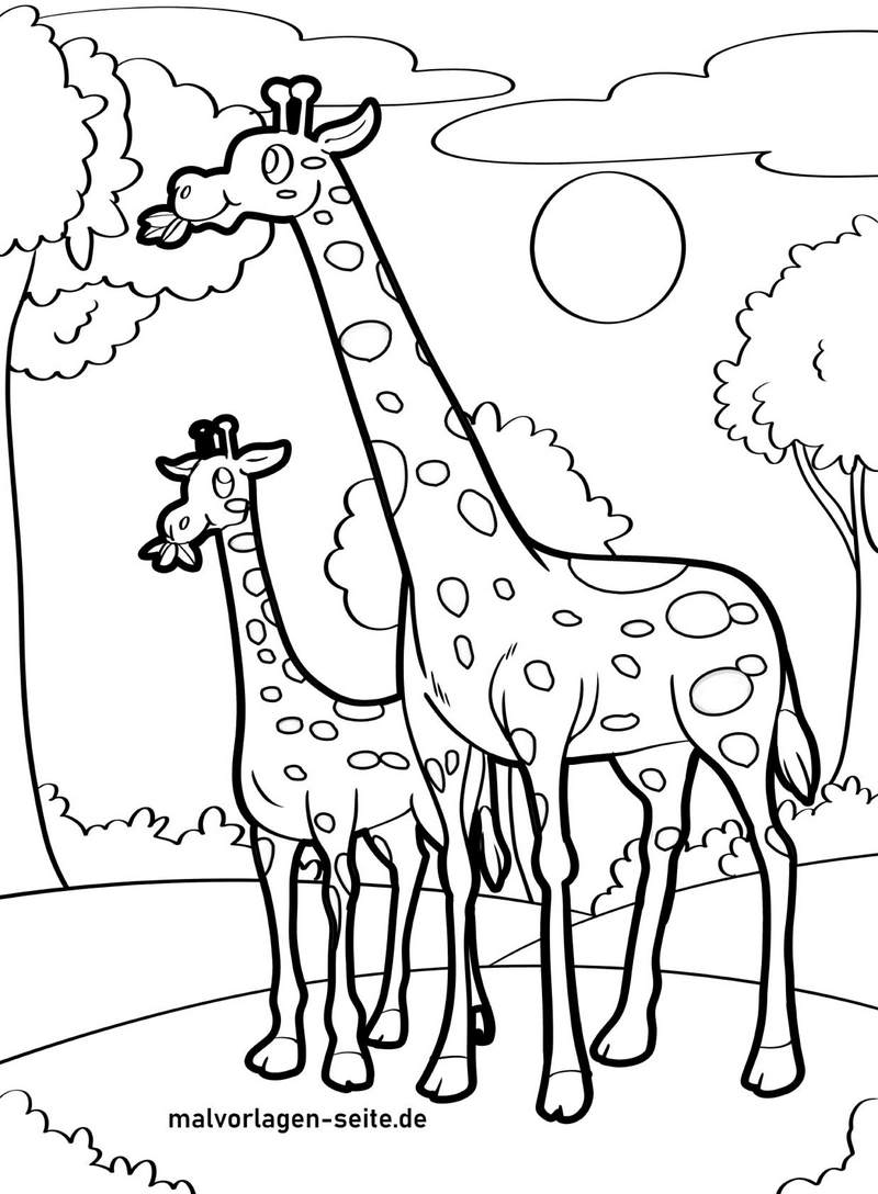 giraffen-in-der-natur-ausmalvorlage