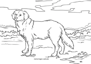 golden-retriever-ausmalvorlage-fuer-kinder