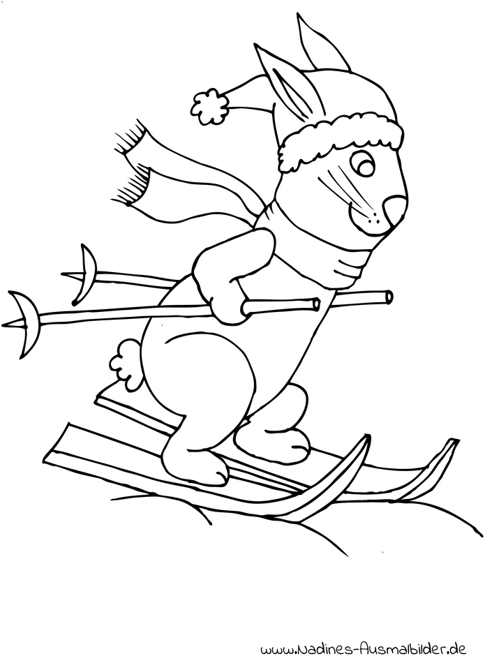 hase-auf-ski-mit-muetze