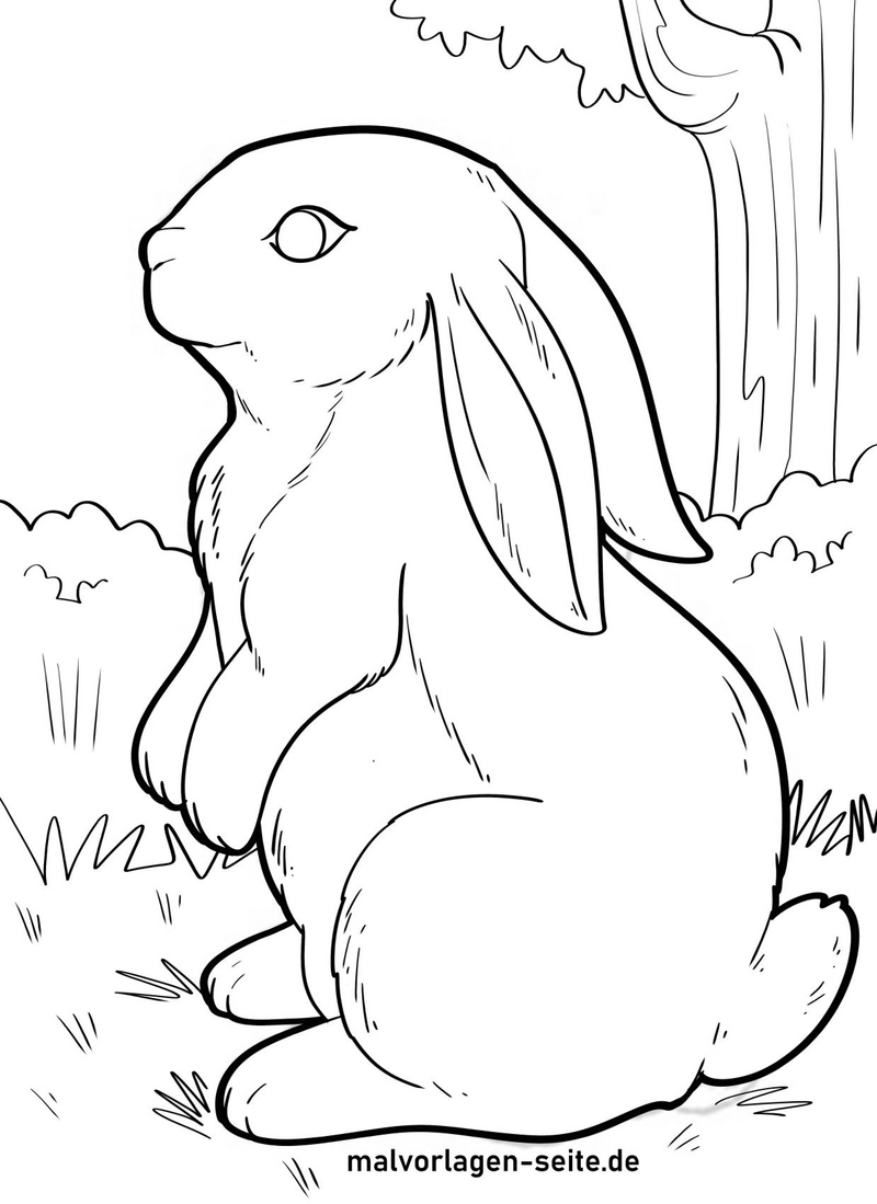 hase-in-der-natur-ausmalvorlage