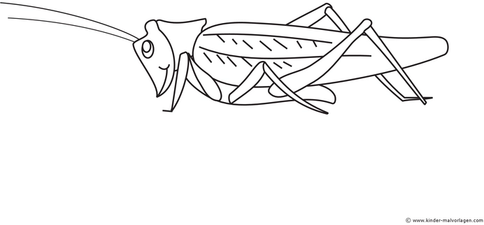 heuschrecke-ausmalvorlage-fuer-kinder