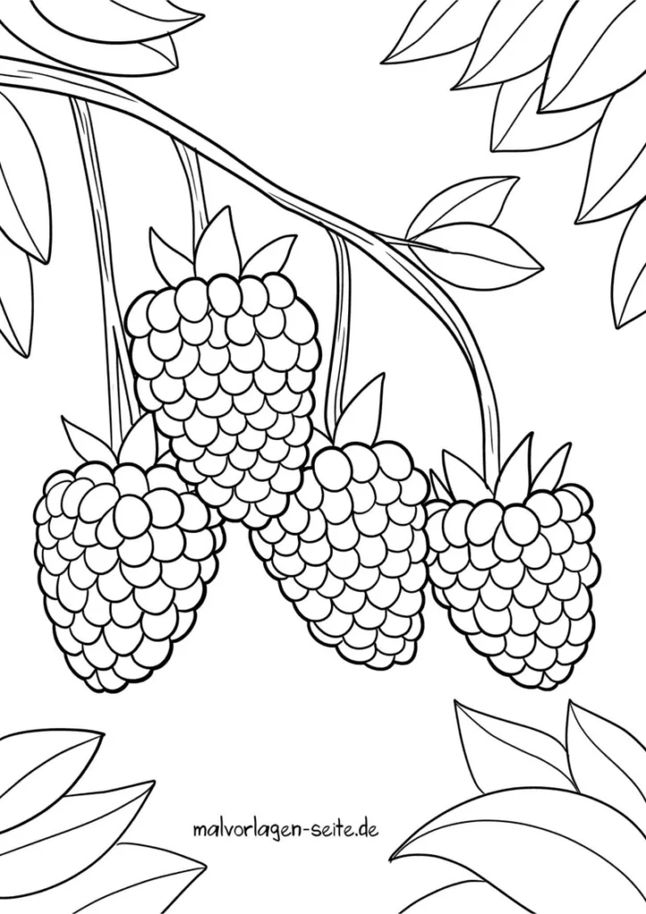 himbeeren-an-einem-zweig-mit-blaettern
