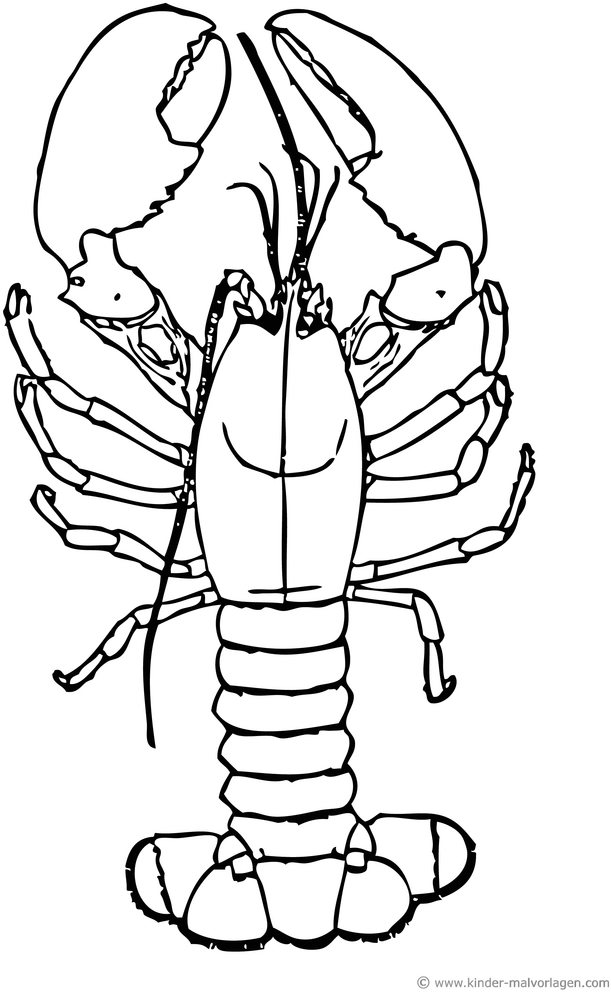 hummer-malvorlage-kreativ-ausmalen