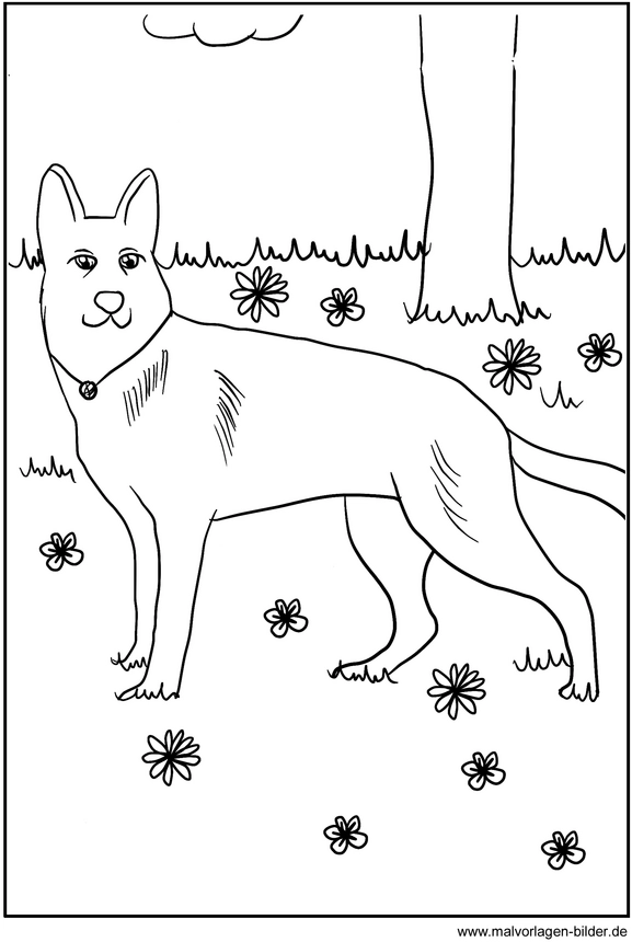 hund-auf-wiese-ausmalvorlage