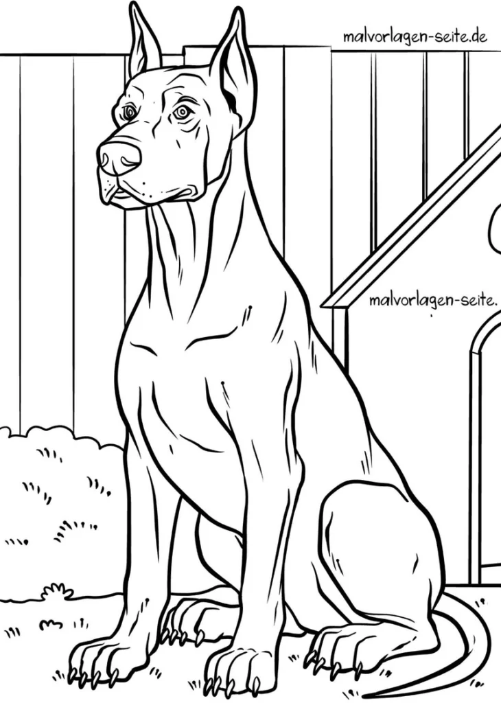 hund-im-garten-mit-hundehaeuschen