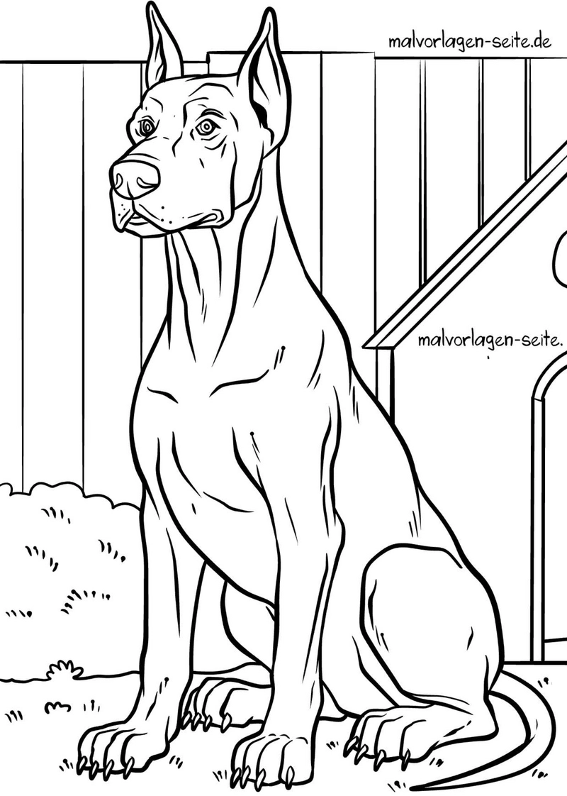 hund-im-garten-mit-hundehaeuschen