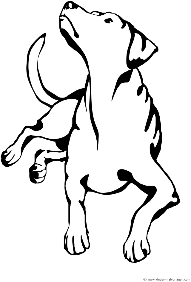 hund-in-aktiver-pose-ausmalvorlage