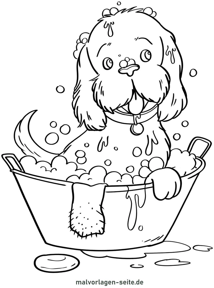 hund-in-badewanne-mit-schaum