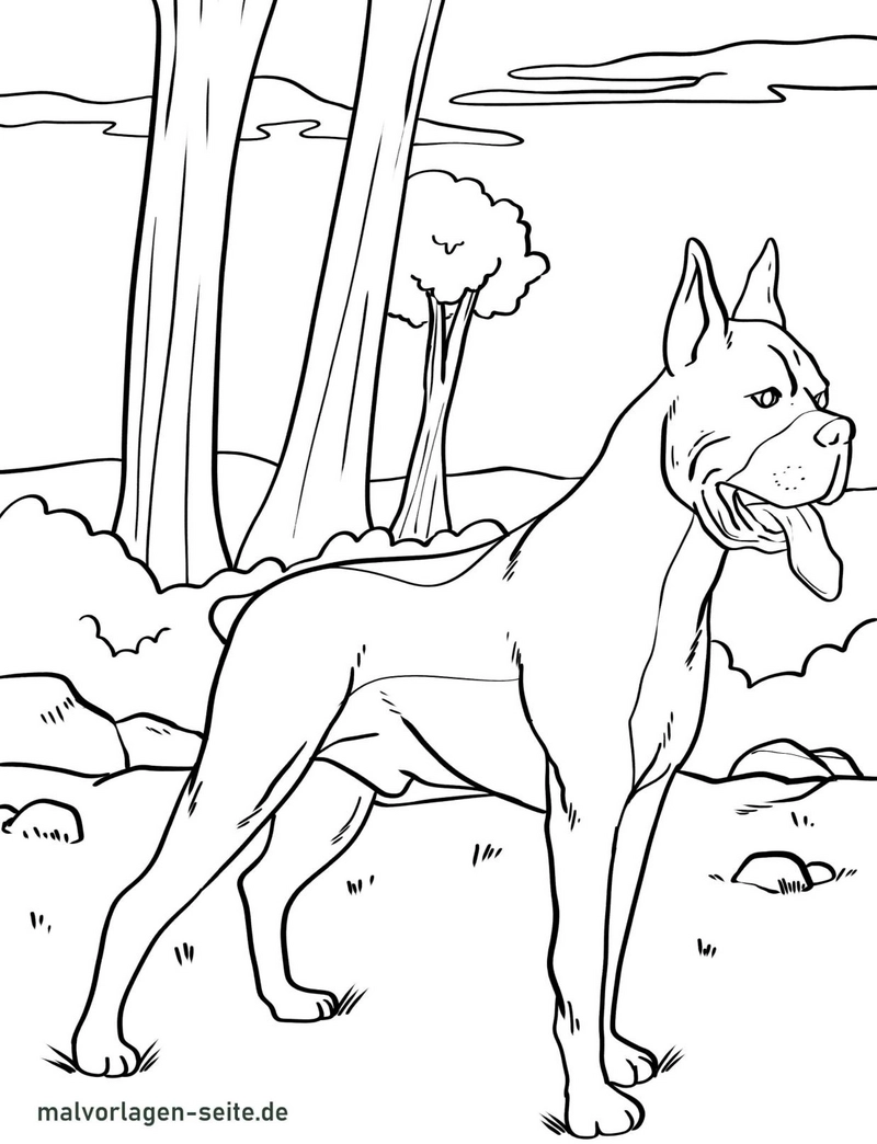 hund-in-der-natur-ausmalvorlage