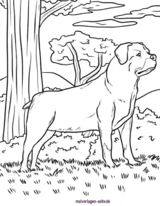 hund-in-der-natur-malvorlage
