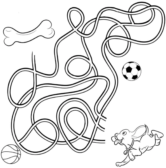 hund-knochen-sportbaelle-ausmalvorlage