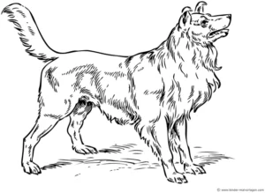 hund-malen-aufmalvorlagen-kreativ-gestalten